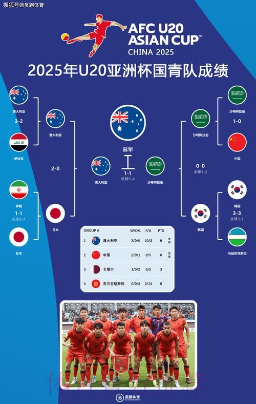 世界杯参赛球队是否免费